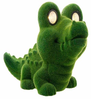 MGO Grn Solar Gator