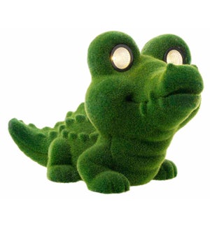MGO Grn Solar Gator
