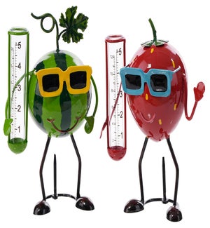 Mtl Fruit Rain Gauge 2 Asst