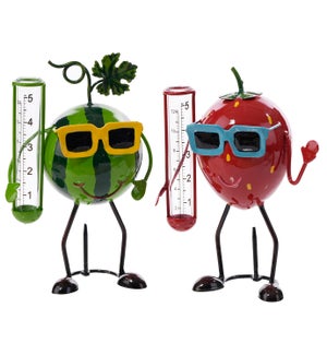 Mtl Fruit Rain Gauge 2 Asst