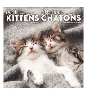 Cuddly Kittens (Bilingual French)