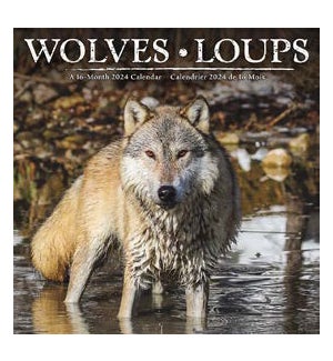 Wolves (Bilingual French)