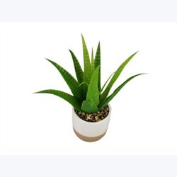 Ceramic Planter w/Artificial Plant