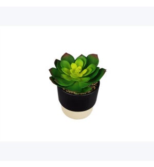 Ceramic Planter w/ Artificial Succulent