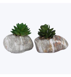 Ceramic Planter w/Artificial Succulent, 2 Assorted