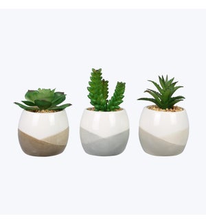 Ceramic Positive Vibe Succulents, 3 Assortment
