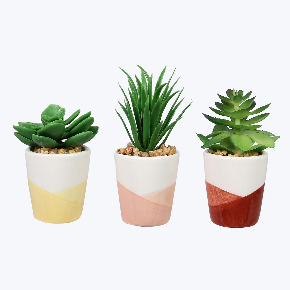 Ceramic Positive Vibe Succulents, 3 Assorted