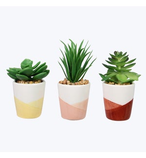 Ceramic Positive Vibe Succulents, 3 Assorted