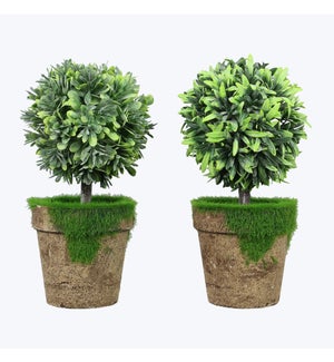 Artificial Topiary in Planter, 2 Assorted