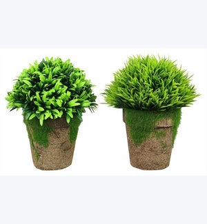 Artificial Potted Succulents 2 Assorted