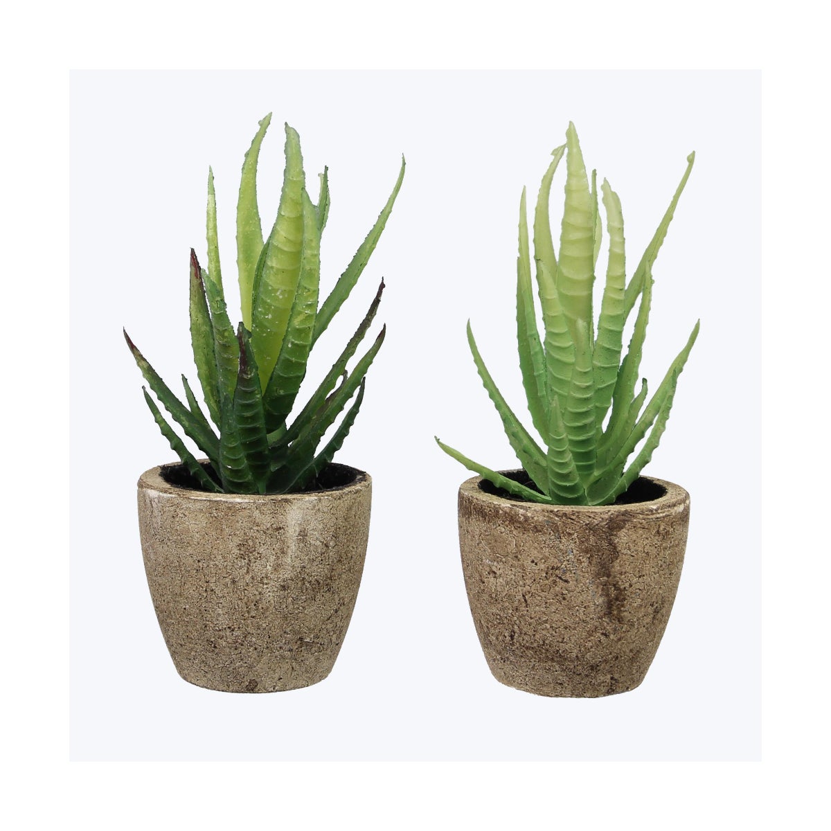 Plastic Artificial Potted Succulents 2 Assorted