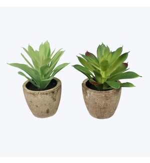 Artificial Potted Succulents, 2 Assorted