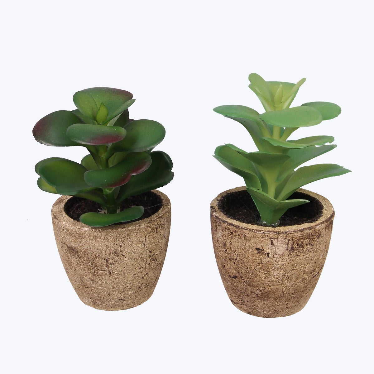 Artificial Potted Succulents, 2 Ast