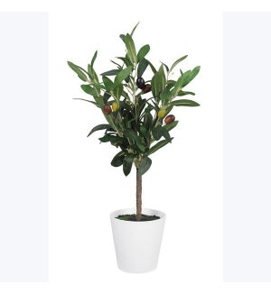 Artificial Olive Tree in Plastic Pot
