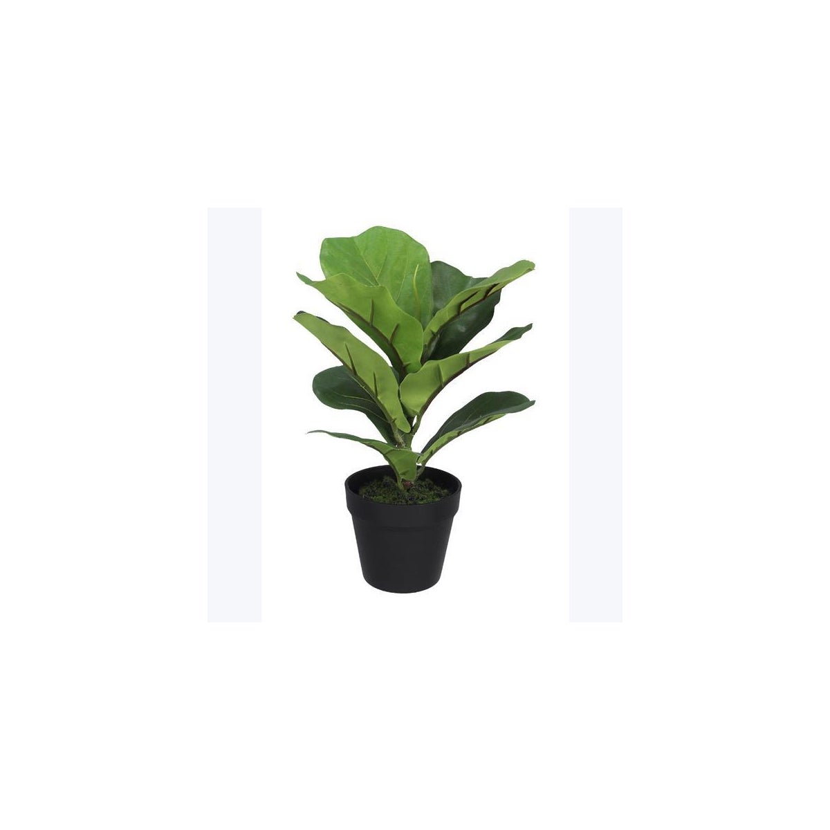 Artificial Ficus Lyrata in Plastic Pot