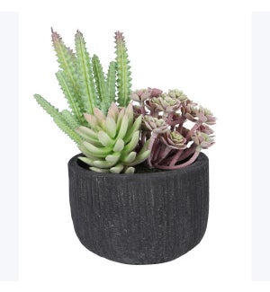 Artificial Succulent In Paper Mache Pot