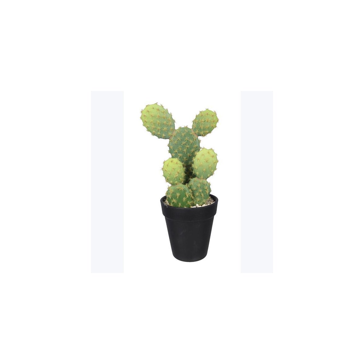 Artificial Cactus In Plastic Pot
