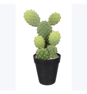 Artificial Cactus In Plastic Pot