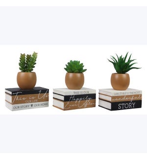 Resin Book Tabletop Signs with Succulent, 3 Ast.
