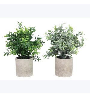 Artificial Plants in  Planter, 2 Ast.