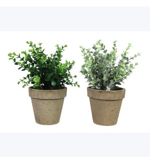 Artificial Plants in  Planter, 2 Ast.