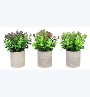 Artificial Plants in  Planter, 3 Ast.