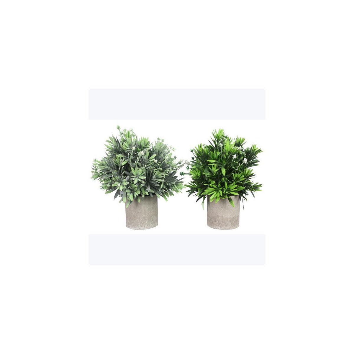 Artificial Plants in Planter, 2 Ast.