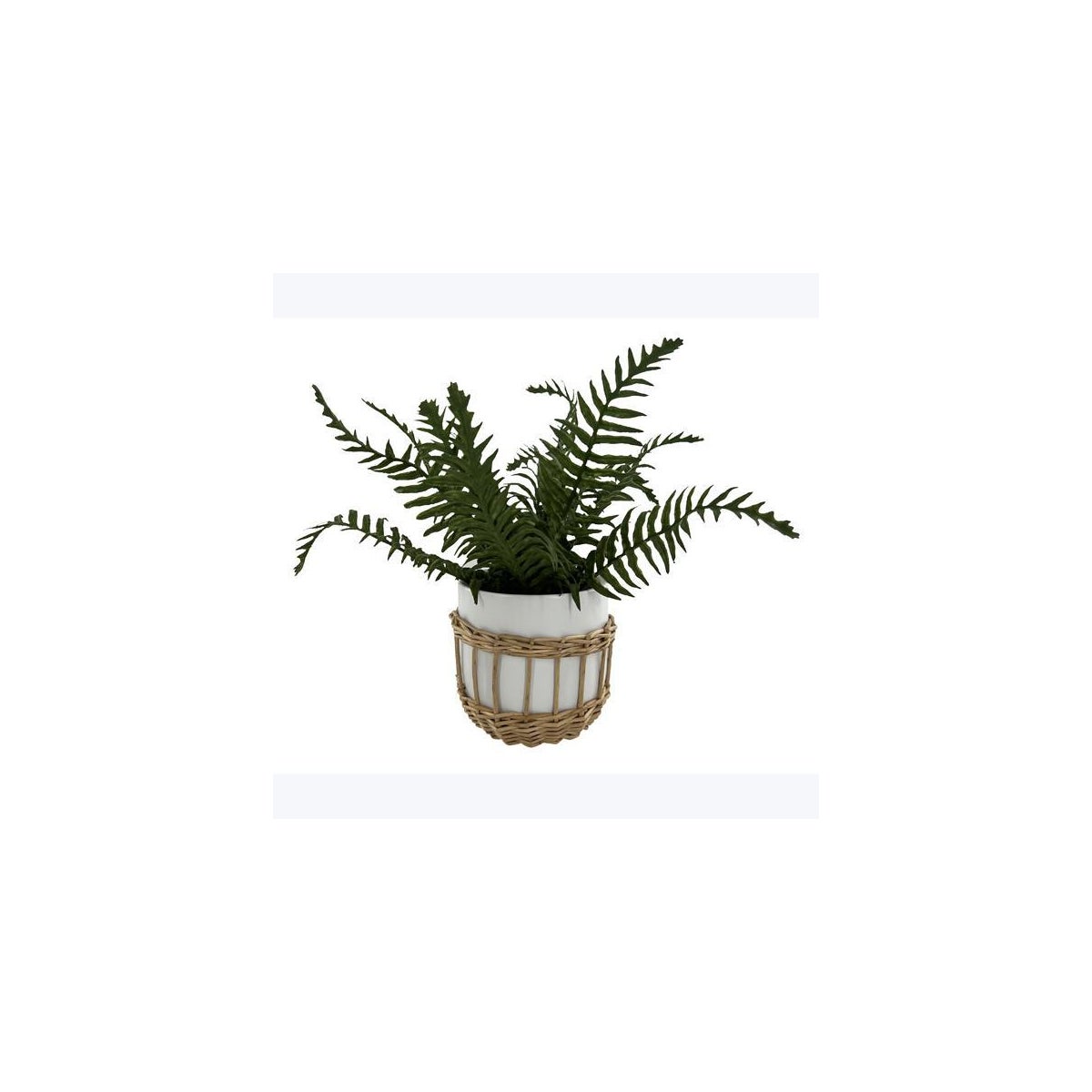 Artificial Fern in Ceramic Pot with Basket Cover