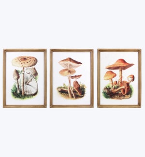 Wood Framed Mushroom Painting, 3 Ast.