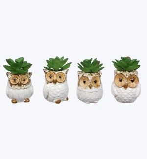 Stoneware Owl Whitewashed Succulent Planters, 4 Ast
