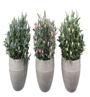 Artificial Flowers in Planter, 3 Assorted