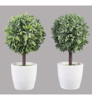 Artificial Topiary in White Planter, 2 Assorted