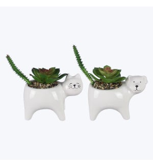 Ceramic Pet Planter with Succulent, 2 assorted