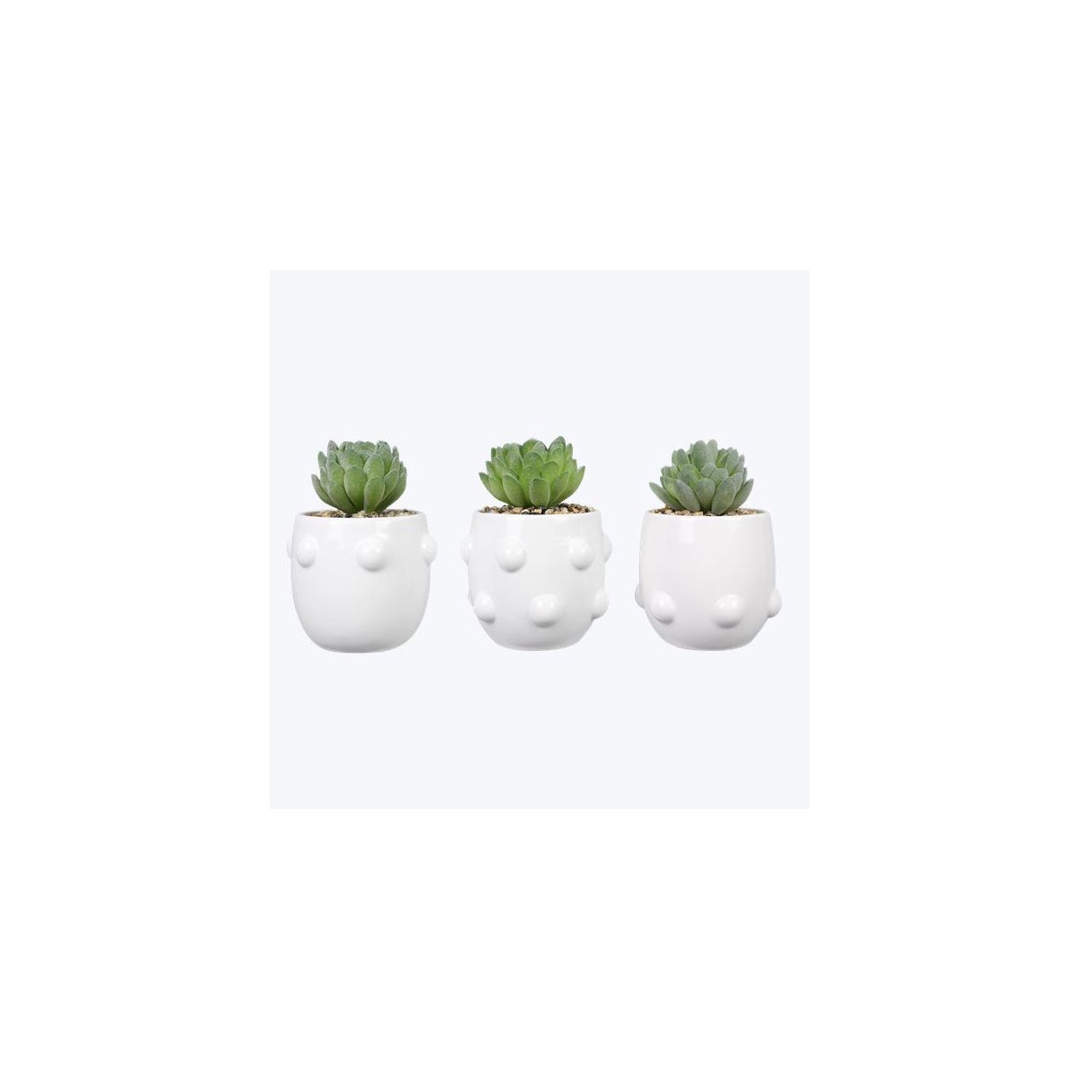 Ceramic Large Hobnail Planter with Succulents, 3 Ast.