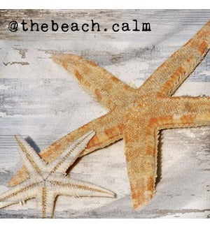 Wood Beach Starfish Plaque