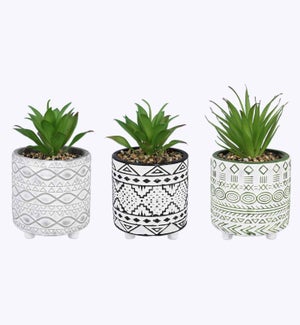 Cement Pot w/Greenery 3 Assorted