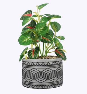 Cement Pot w/Plant
