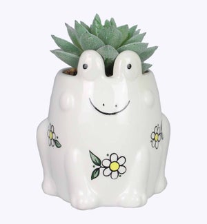 Ceramic Frog Planter with Succulent