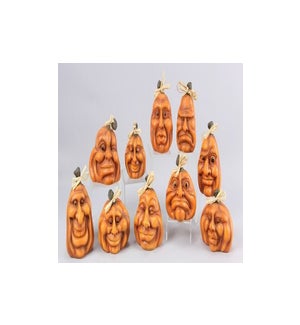 Pumpkin Expressions 10 Ast