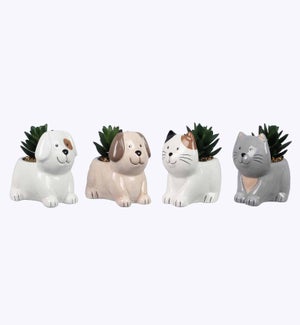 Ceramic Furry Friends Planters w/ Faux Succulents, 4 Ast.