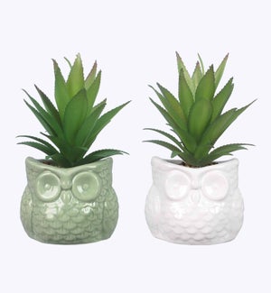 Ceramic Owl Planter with Succulent, 2 Ast.
