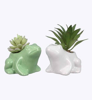 Ceramic Frog Planter w/ Succulents, 2 Ast.
