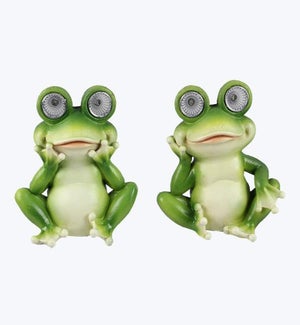 Resin Solar LED Light Frogs 2 Ast