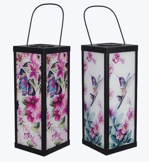 Metal and Glass Lantern 2 Ast