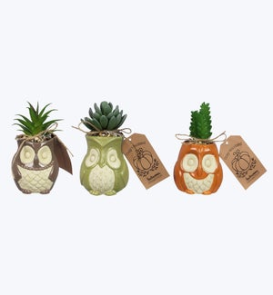 Ceramic Cozy Woodland Owl Tabletop Planter with Succulents, 3 Ast