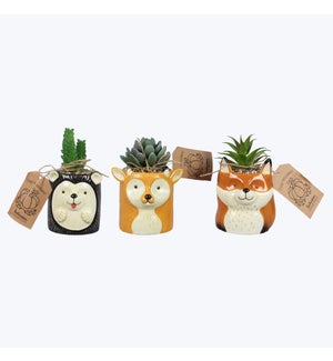 Ceramic Cozy Woodland Creatures Tabletop Planter with Succulents, 3 Ast