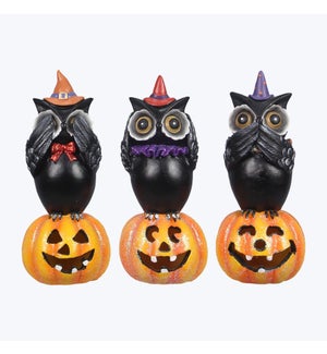 Resin Halloween Owl on Jack-o-Lantern, 3 Ast
