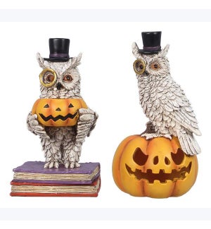 Resin Owl With Pumpkin and Book Stack 2 Ast