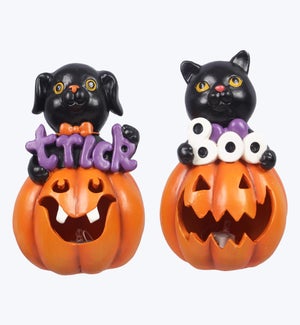 Resin Halloween Cat in Jack-O-Lantern Tabletop Decor 2 Ast