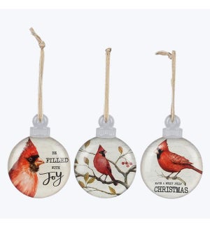 Glass Christmas Cardinal Decoration, 3 Assorted